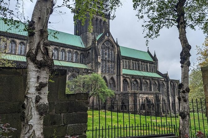 Highland Cows, Glasgow Cathedral, Murals, Kelpies Half Day Tour - Highland cows at Craigie’s Farm or Pollok Park