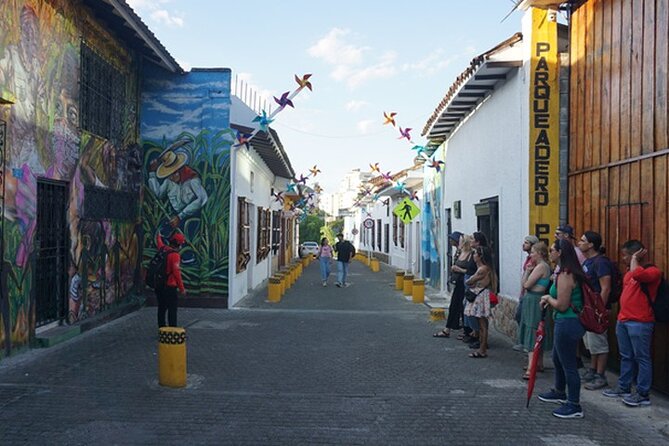 Historical Shared Tour Salsa, Graffiti & Resistance in Cali - The Cali River view from Boulevard del Río Emcali