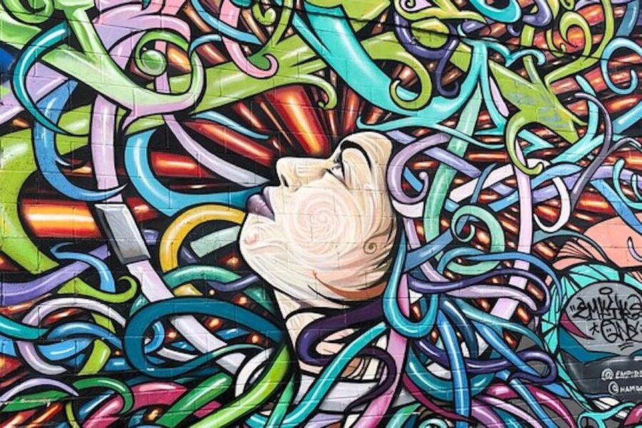 Houston: Mural Tour by Electric Cart - What the 90-minute route feels like