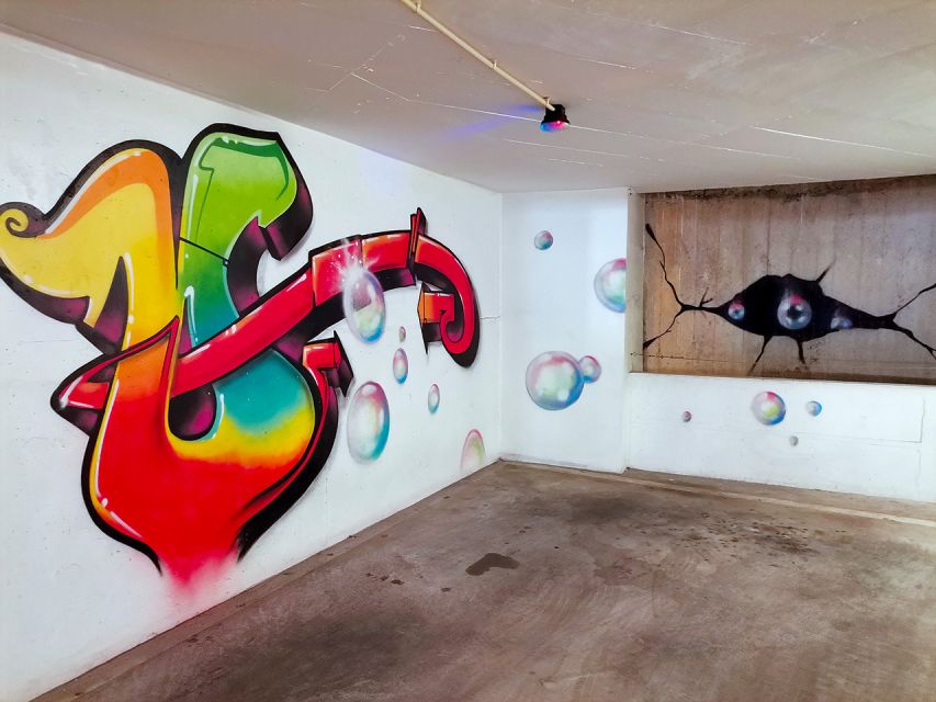Lisbon: 2-Hour Street Art Photo Tour - From avenues to alleys and older neighborhoods
