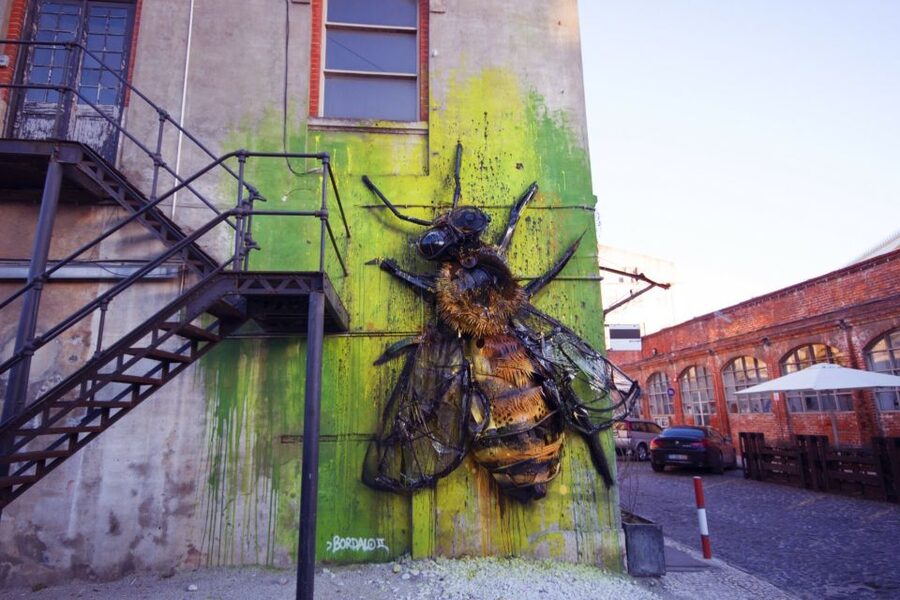 Lisbon: 3-Hour Street Art Tuk Tuk Tour - Guides who add more than directions