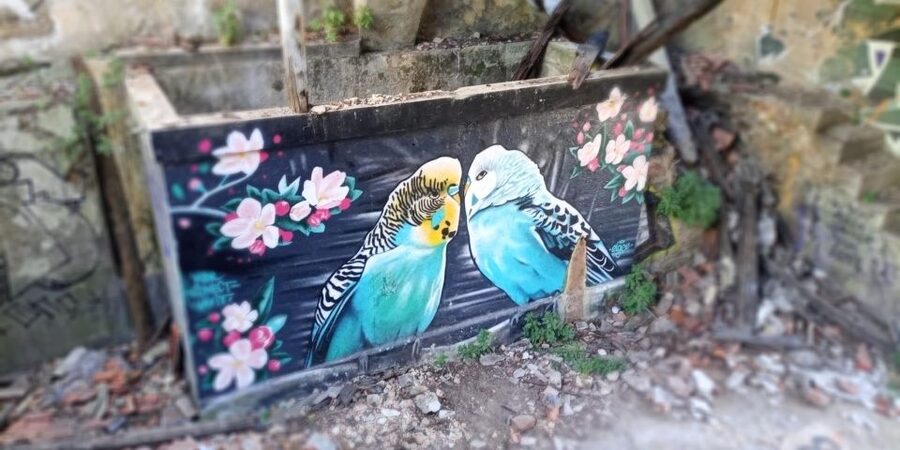 Lisbon: Private Tuk-Tuk Street Art Tour for 2,5 hours - What the private price offers