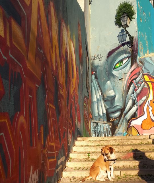 Lisbon Street Art Lovers Walk - Who will enjoy this Lisbon walk most?