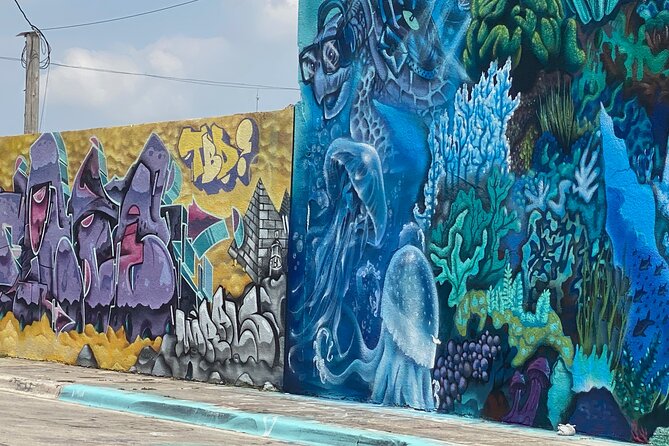 Little Havana and Wynwood Walls District Guided Tour - Domino Park and the social side of Little Havana
