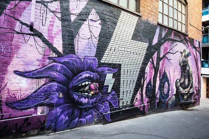 Melbourne Street Art Tour with a Local: Private & Personalized - The lane once blacked out
