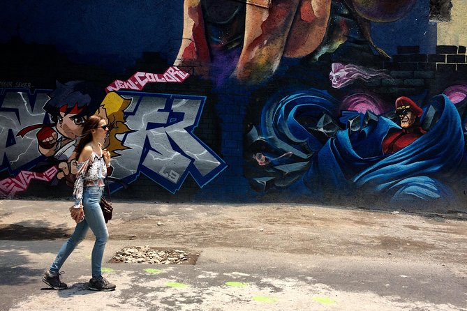 Mexico City Private Street Art Tour - Who should book this walk?