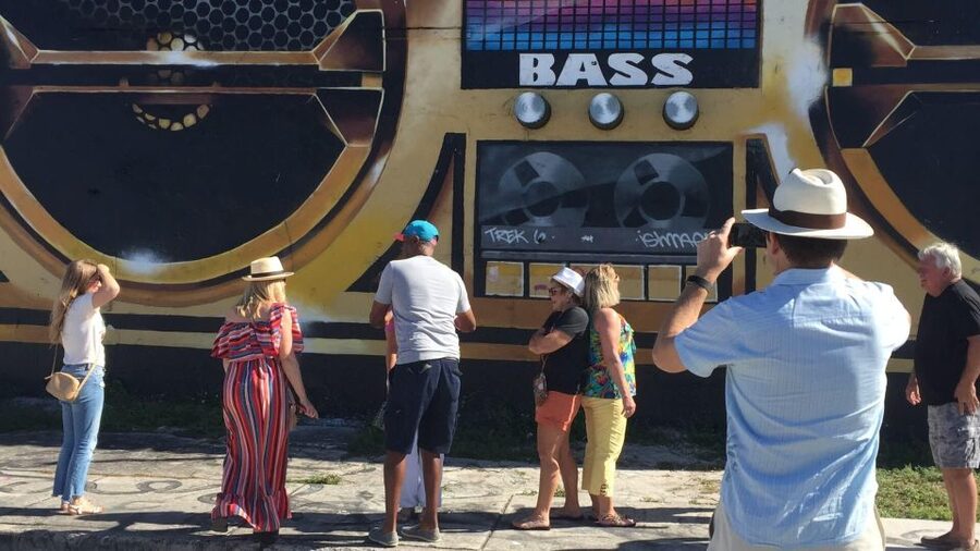 Miami: Wynwood Arts District Walking Tour - What $35 gets you