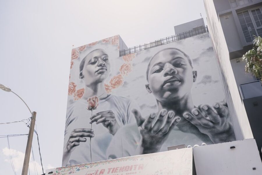 Miami: Wynwood Walking Tour - Reading the Murals Across the Arts District