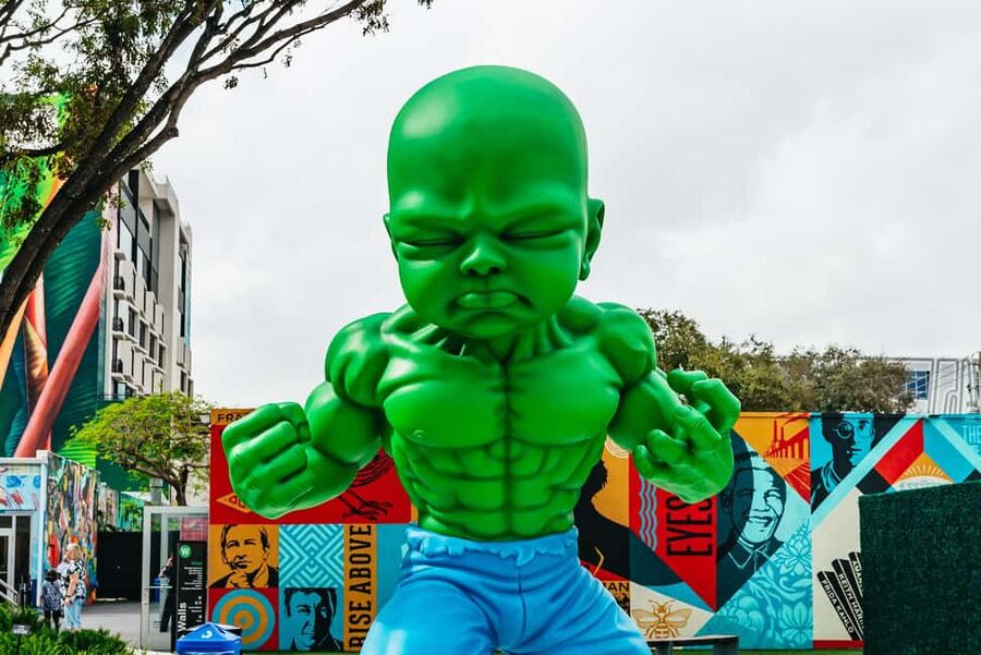 Miami: Wynwood Walls, Galleries, and Murals Guided Tour - The outdoor murals and the best photo angles