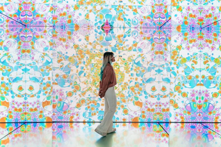 Moco Museum Amsterdam Entrance Tickets with Banksy & More - Basquiat, Haring, Warhol, and Kusama