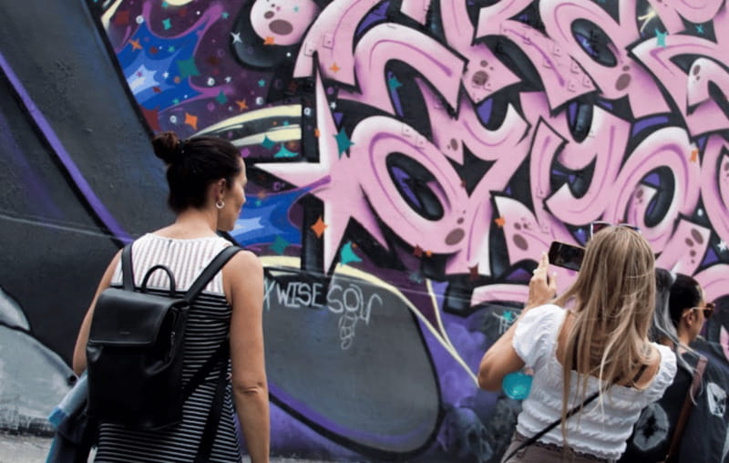 Montreal: Guided Walking Tour of Montreal's Murals - Continuing south to the Entertainment District