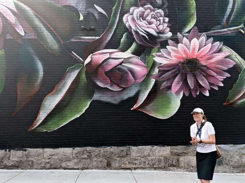 Montreal: Guided Walking Tour of Montreal's Murals - Starting at the Maison du développement durable