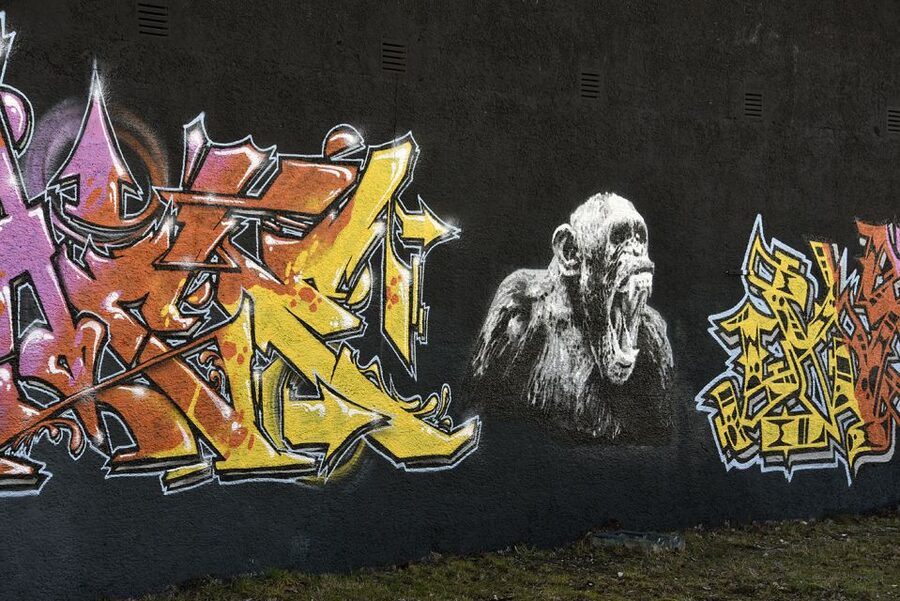 Munich: Street Art Bike Tour - Who should book this Munich bike tour?