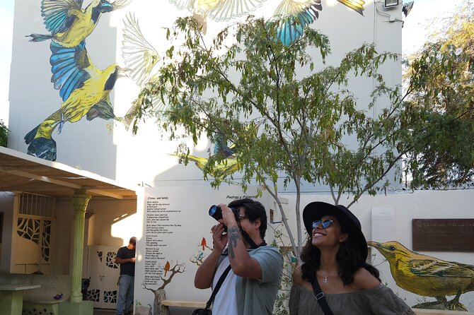 Mural and Sculpture Art Tour at the Peace Center - What $42.82 buys you