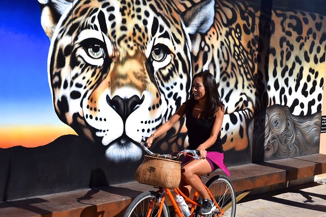 Mural Bike Tour - Riding through Barrio Viejo and Armory Park
