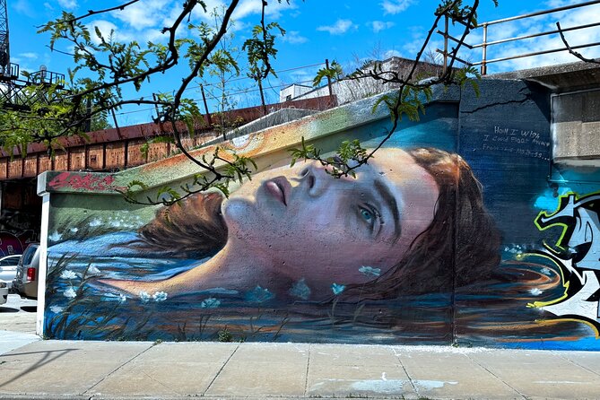 Offbeat Fulton Market Graffiti and Murals Street Art Tour - Chicago Street Art Starts at Eckhart Park