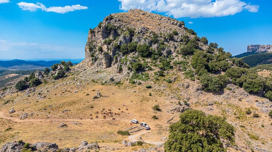 Orgosolo Experience: Murals and Culture with a typical Lunch - Why this day feels different from a standard Sardinia tour