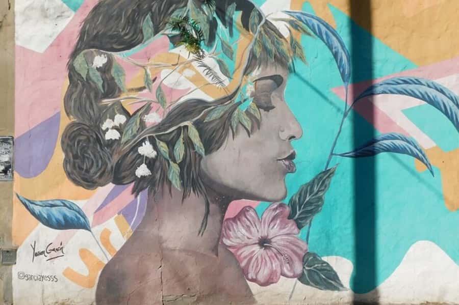 Premium Argentinian Wine and Malbec Tasting & Urban Art Tour - Walking Palermo’s streets and street art