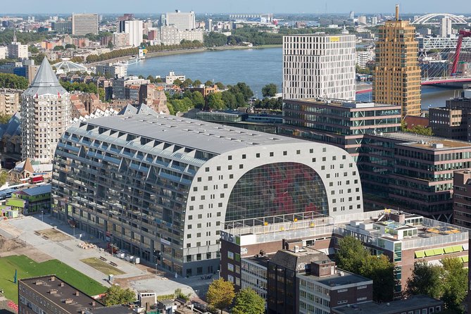 Private Highlights & Art Walking Tour: Markthal, Zadkine, Street Art and Depot - Markthal, where food and architecture meet