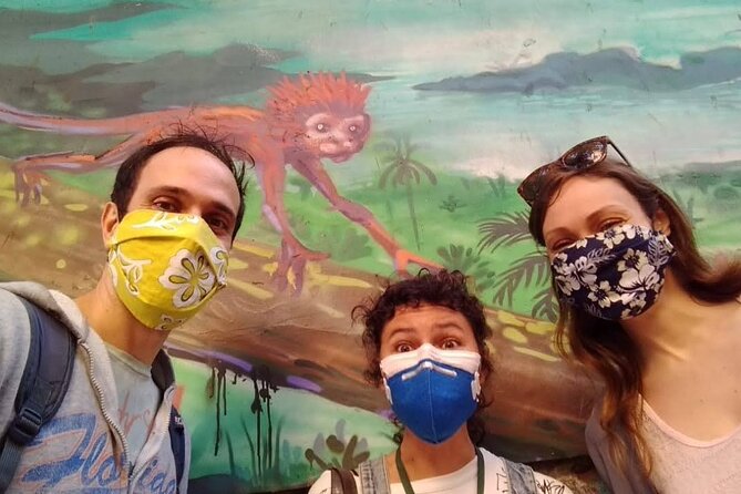 Rio Street Art Tour - Is $68.61 a fair price?