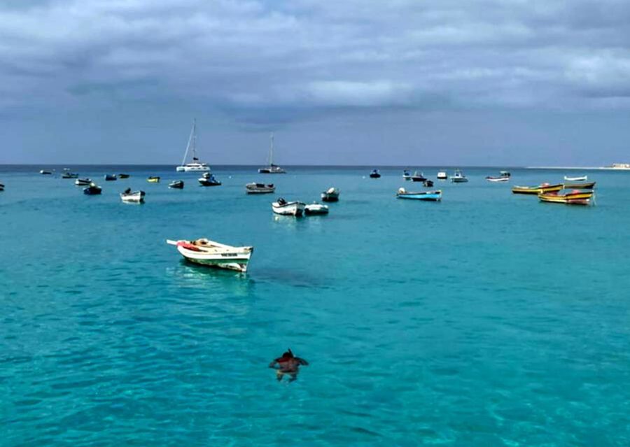 Sal island: Santa Maria city tour, street art and tapas - Starting with Santa Maria’s working waterfront