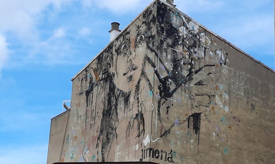 Salamanca: Private Guided Street Art Walking Tour - Why Barrio del Oeste changes your view of Salamanca