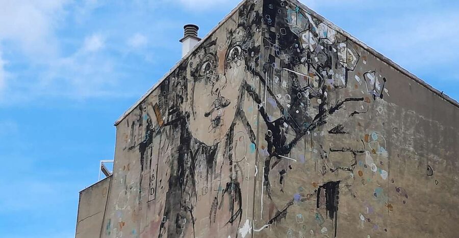 Salamanca: Private Guided Street Art Walking Tour - Finding murals, stencils, and small surprises