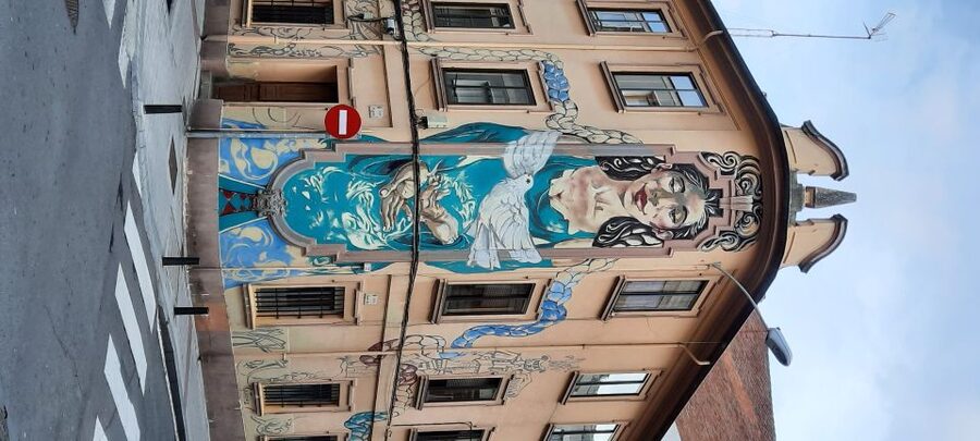 Salamanca: Private Guided Street Art Walking Tour - Stories about artists and the neighborhood