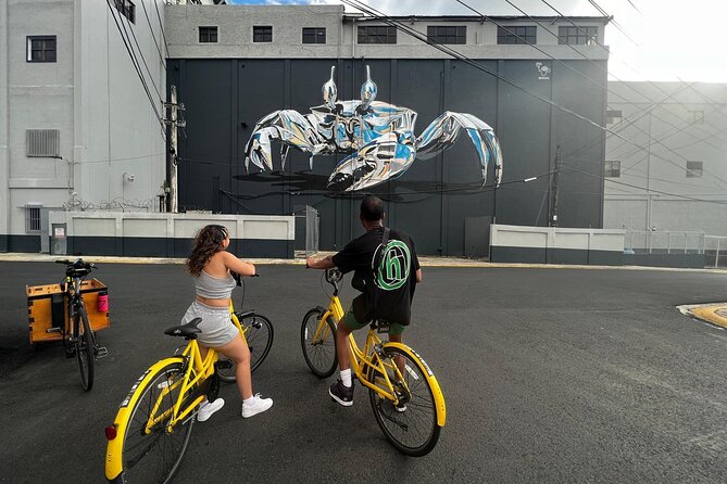 San Juan Urban Art Bike Tour 2 Hour and 4 Hour Options - La Placita de Santurce by day