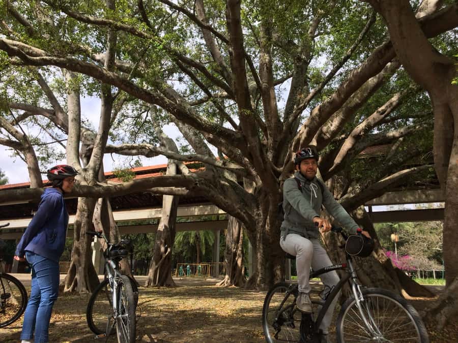 São Paulo: Street Art Bike Tour - Is $160 a fair price?