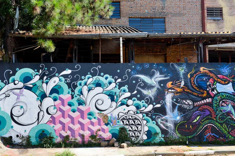 São Paulo Street Art Tour - The guide makes the difference