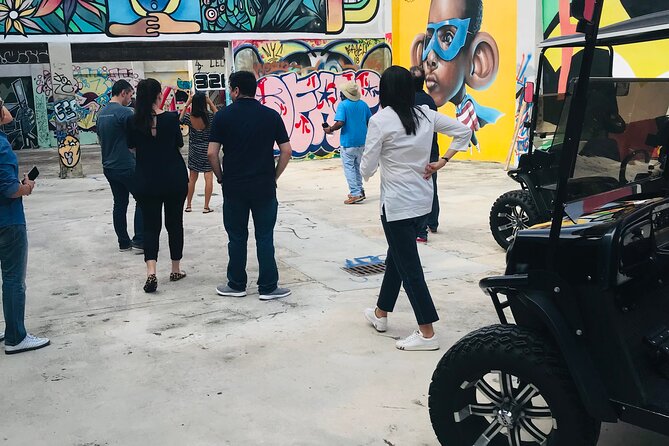 Small-Group Brewery Golf Cart Tour of Wynwood with a Local Guide - Wynwood Walls is the famous stop, but it is not the whole district