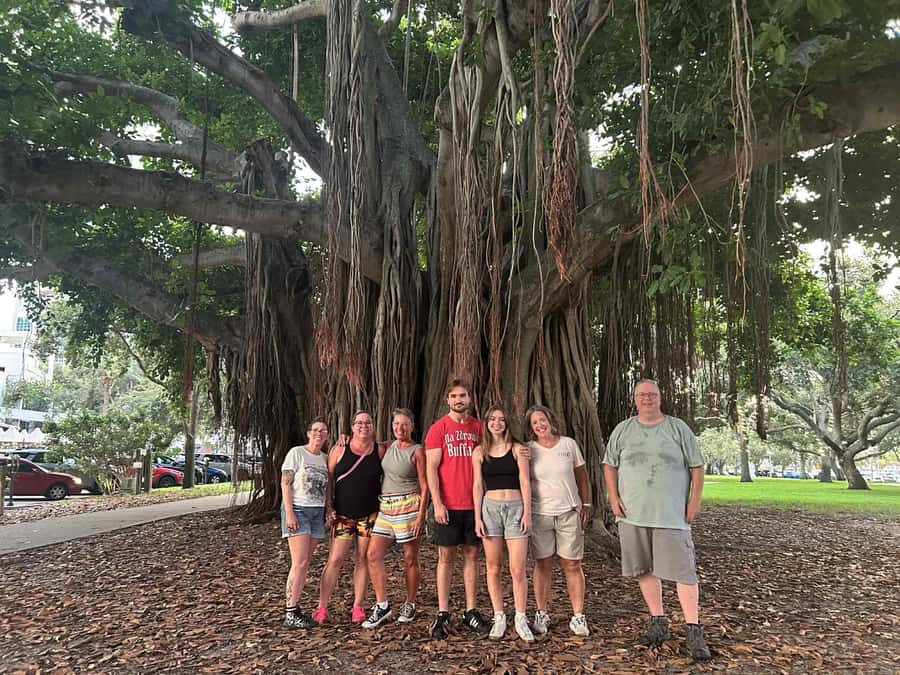 St. Petersburg, FL: Sightseeing & Murals Electric Bike Tour - Albert Whitted Park and the airport view