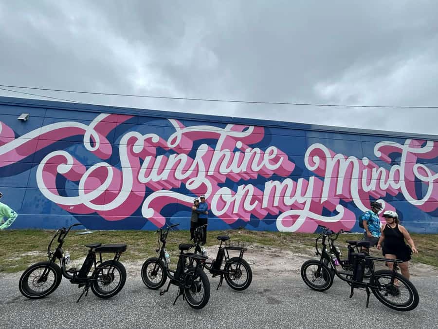 St. Petersburg, FL: Sightseeing & Murals Electric Bike Tour - The St. Petersburg Pier and downtown waterfront