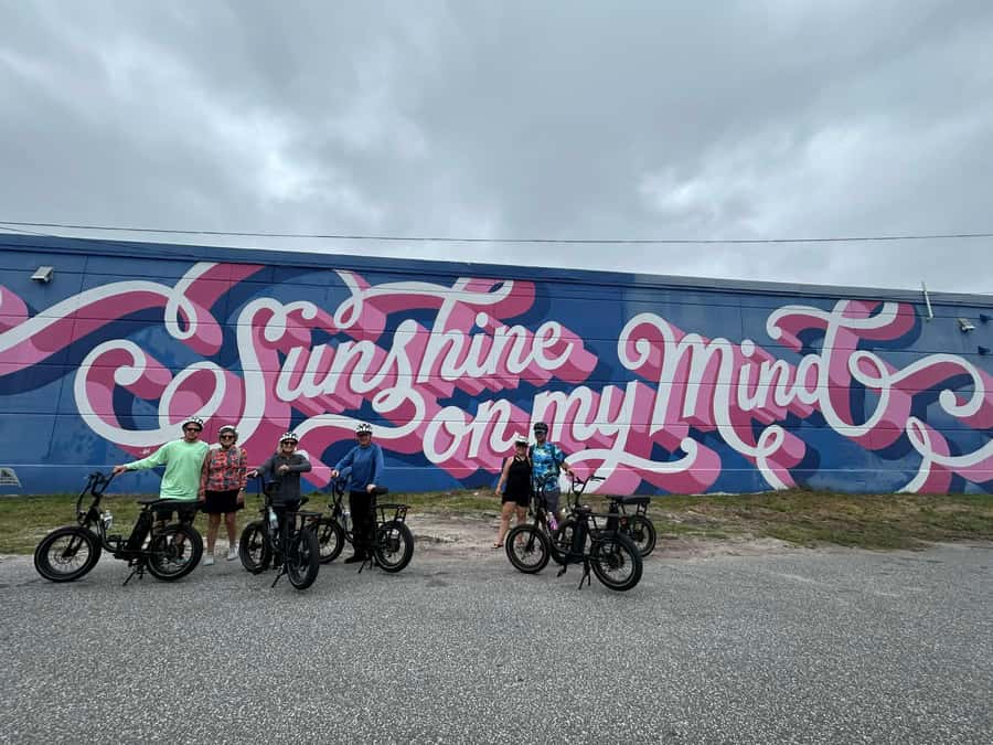 St. Petersburg, FL: Sightseeing & Murals Electric Bike Tour - Waterfront trails and the chance to spot dolphins
