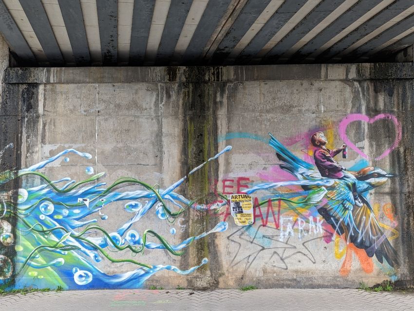 Strasbourg : Street-Art Tour - Reading Strasbourg through graffiti and murals