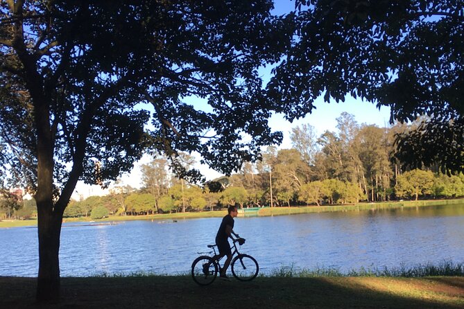 Street Art and Park Bike Tour - What the $85 price covers