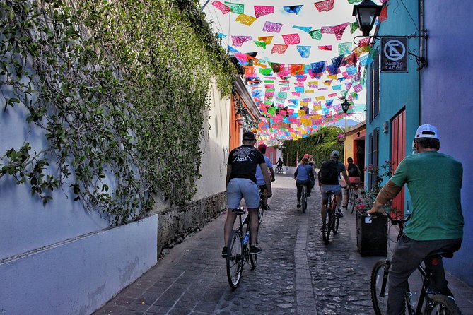 Street Art Bike Ride - Is $83.64 a fair price?