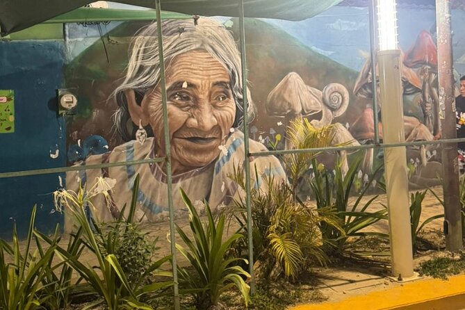 Street Art & Cemetery Cultural Tour - half day - Why this tour gives Playa del Carmen more color