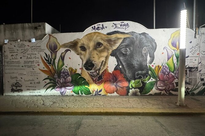 Street Art & Cemetery Cultural Tour - half day - Who will enjoy this Playa del Carmen tour?