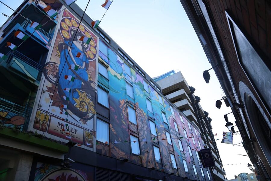 Street Art Walking Tour - Temple Bar beyond pubs and crowds