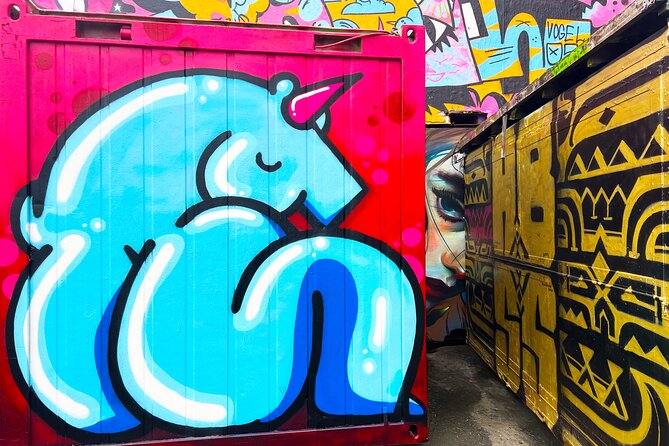 Street Art Walking Tour, private local Dutch guide - Practical details before you book