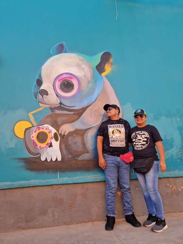 Street Art with an artist - Key points at a glance