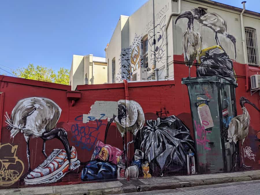 Sydney: Street Art & Small Bar Tour with Complimentary Drink - Saturdays in Redfern and Chippendale