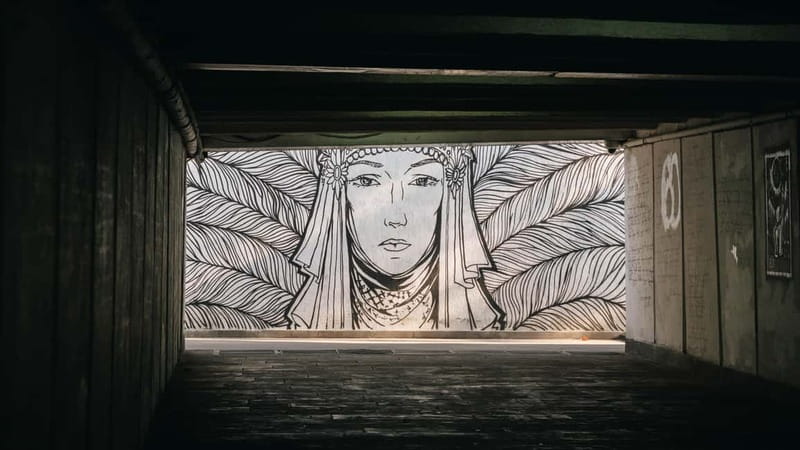 Tbilisi: Street Art and Graffiti Guided Walking Tour - Is $24 a fair price?