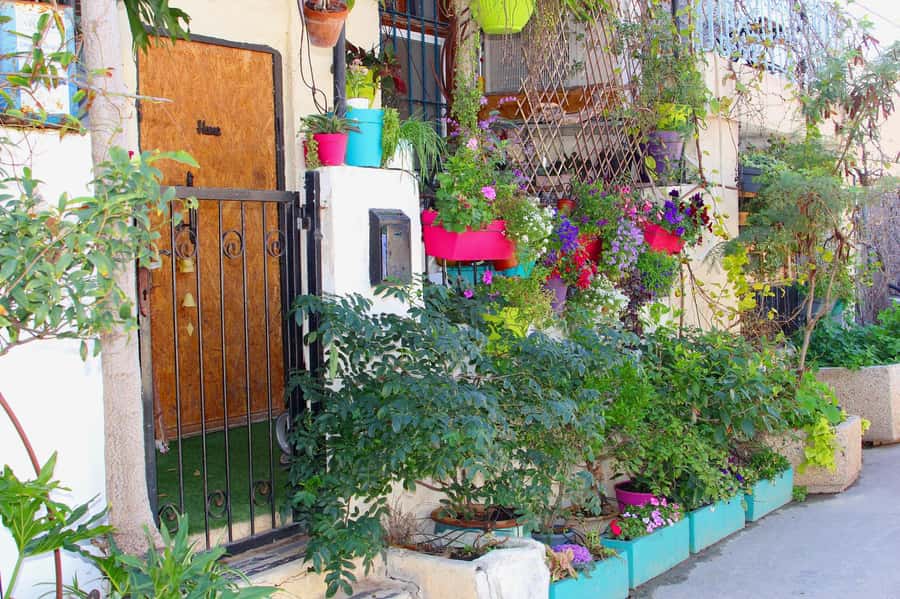 Tel Aviv: Florentin Saturday Walking Tour - Is $69 a fair price?