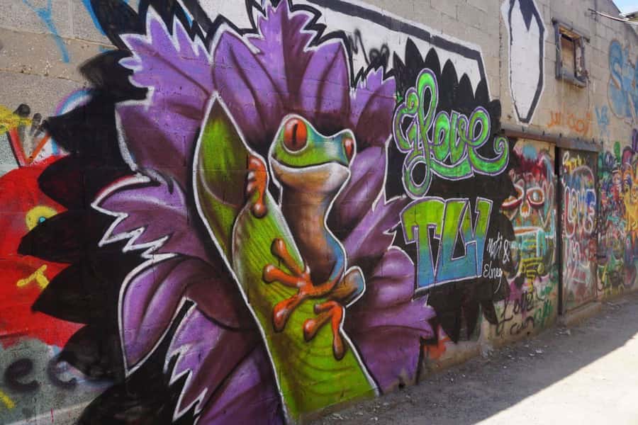 Tel Aviv: Street Art and Graffiti Tour - Florentine: Tel Aviv’s street-level art route