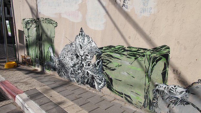Tel Aviv Street Art Tour - Why the local artist connection adds value
