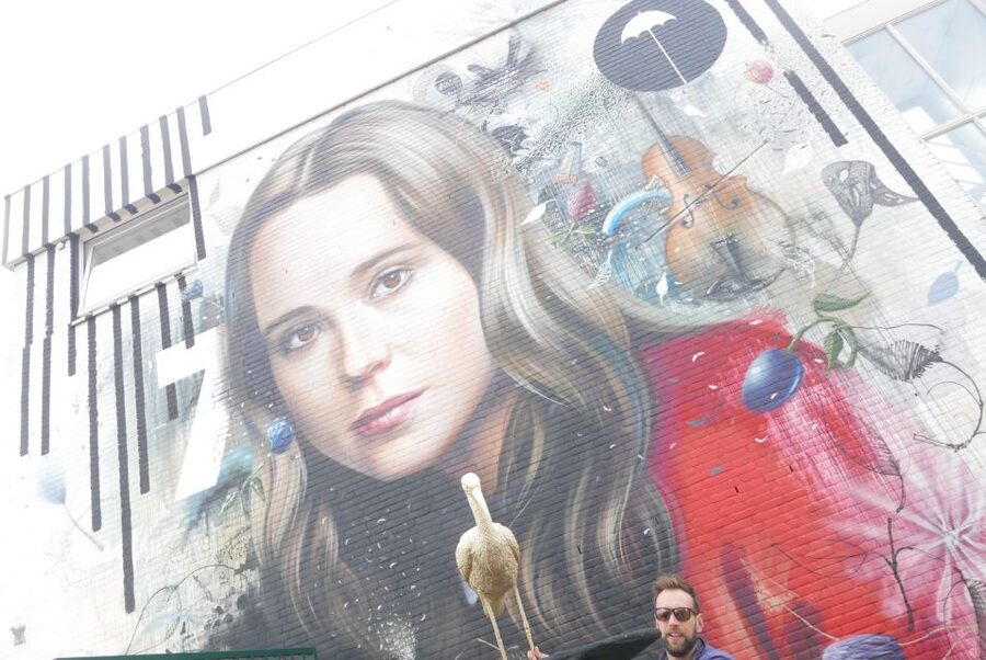 The Hague: Street Art Tour by Bike - Is $28 a fair price?