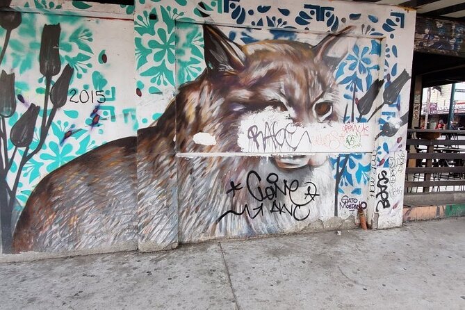 Tijuana Urban Art Walk from San Diego - The guides can make or break the day